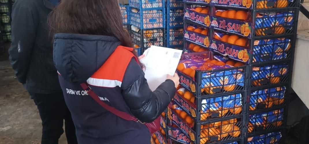 TOPTANCI HALLERİNDE PESTİSİT DENETİMİ YAPILDI