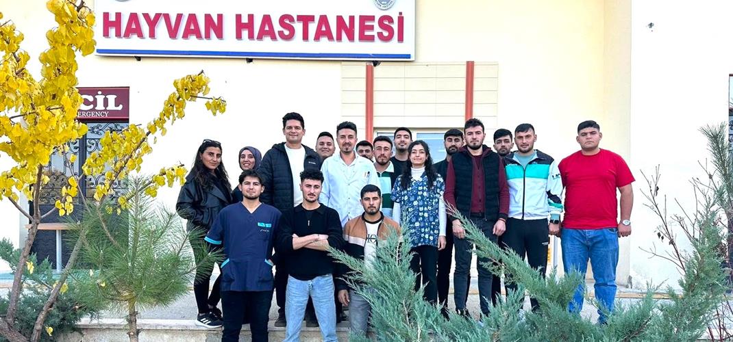 IĞDIR'DA VETERİNER SAĞLIK TEKNİSYENLERİNE YÖNELİK KURS DÜZENLENDİ